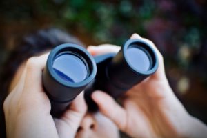October 2026 Market Scenarios: Technology Leads as Yields Drive the Outlook